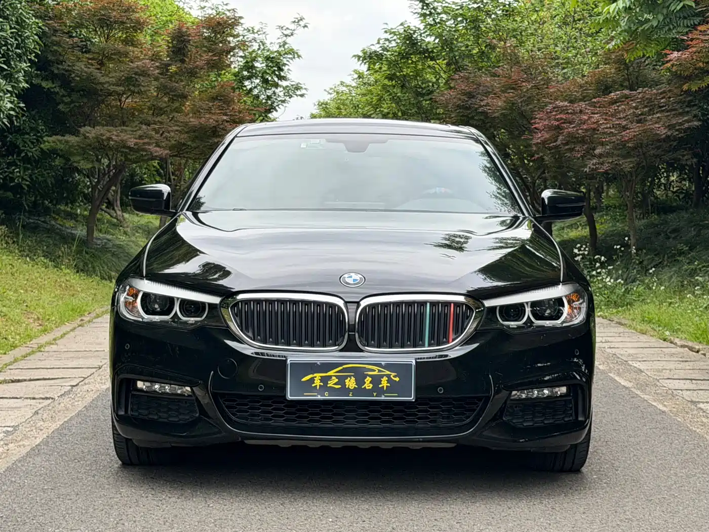 BMW 5 Series 2018 Facelift 530Li Leading M Sport Package фото 2