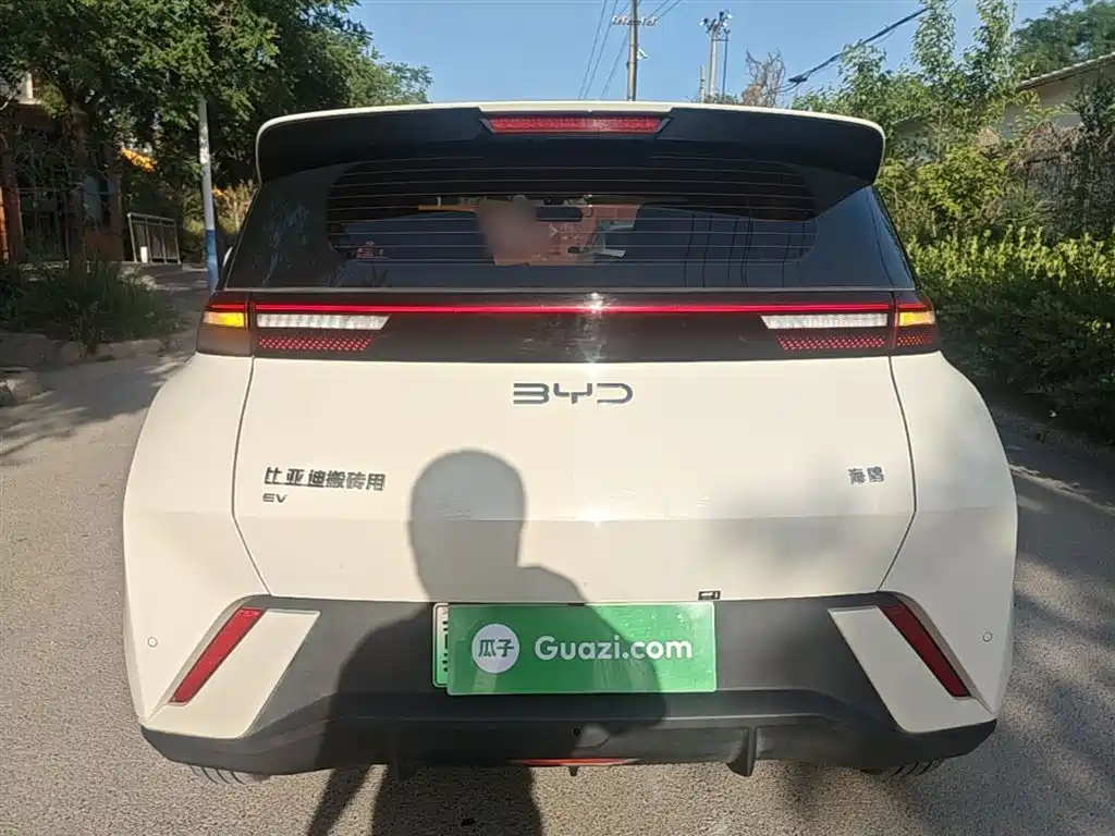 BYD Seagull 2024 Glory Edition 305km Vitality Edition фото 6