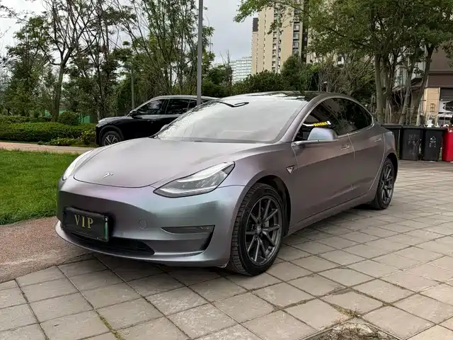 Tesla Model 3 (Import) 2019 Long Range RWD Version