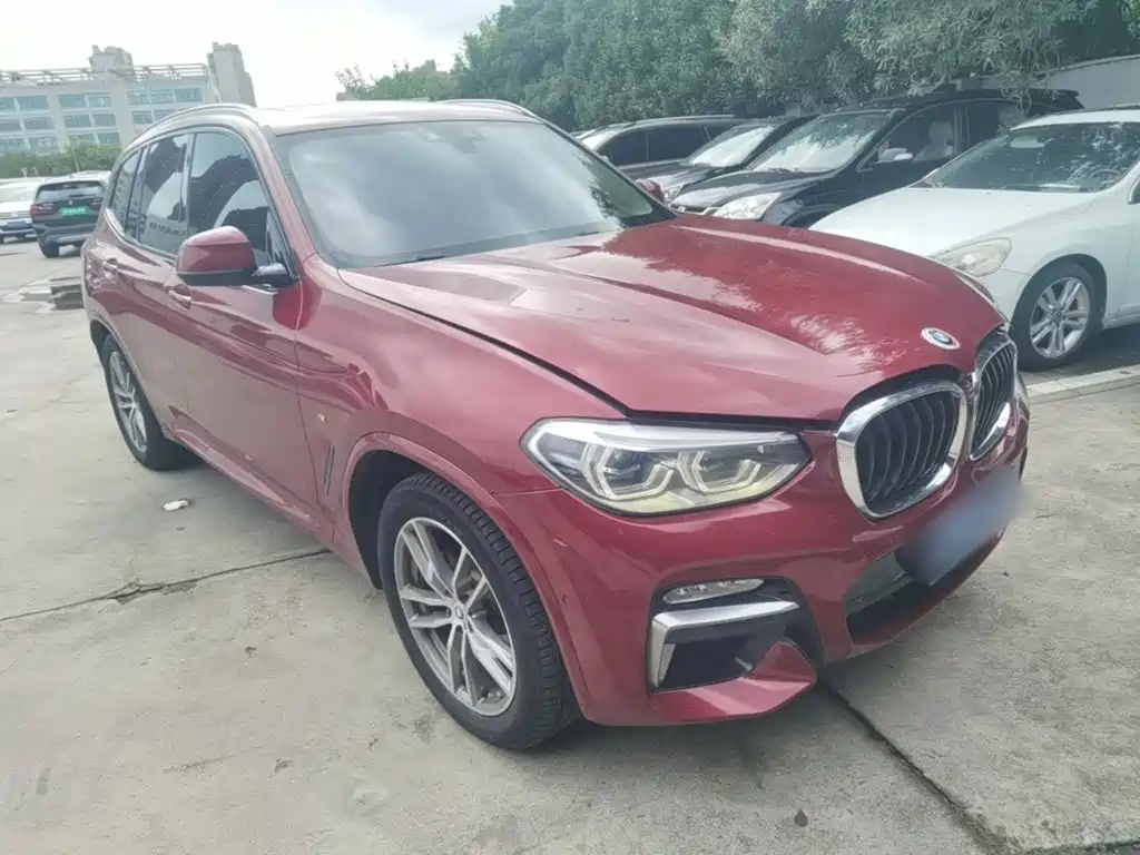 BMW X3 2018 2018 xDrive25i M Sport Package China V