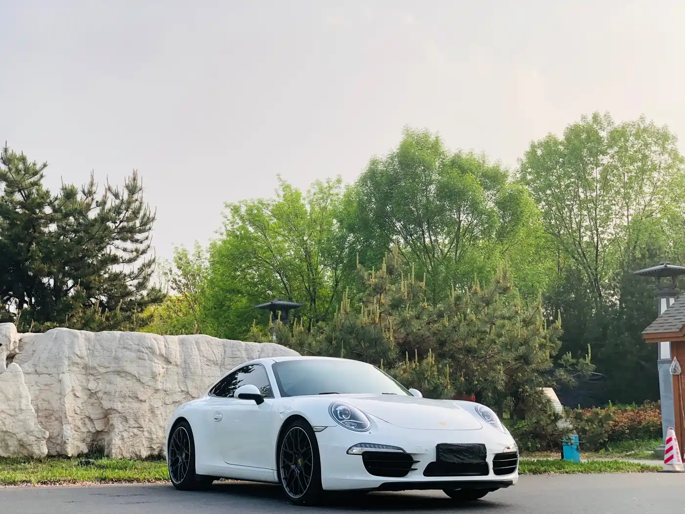 Porsche 911 2012 Carrera S 3.8L фото 2