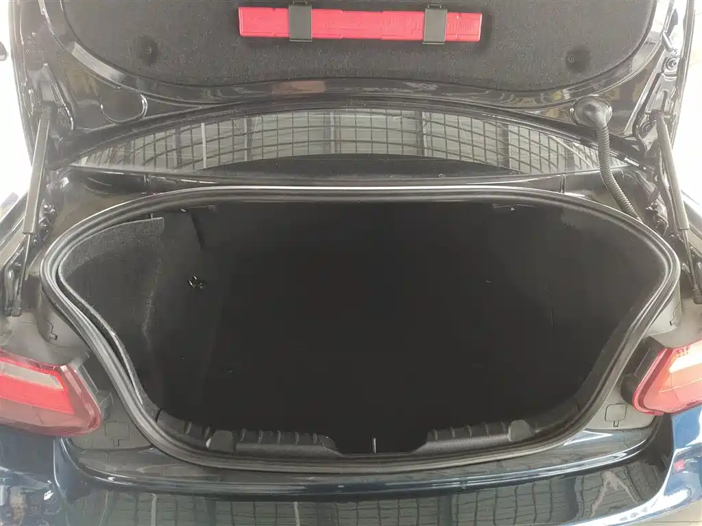 BMW 2 Series (Import) 2015 218i фото 15