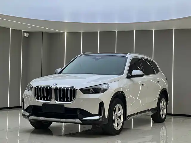 BMW X1 sDrive20Li, X Дизайн-пакет