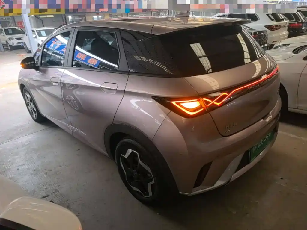 BYD Dolphin 2022 2021 Model 405km Fashion Edition