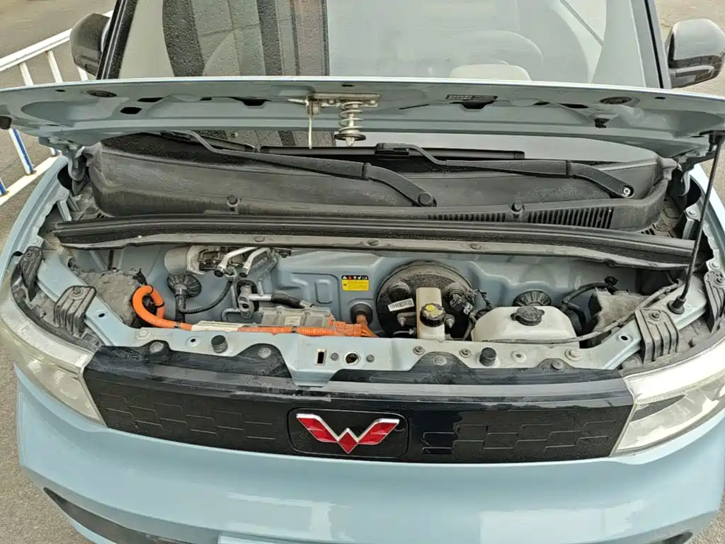 Wuling Motors Hongguang MINIEV 2020 2020 Freedom Edition (LFP Battery)