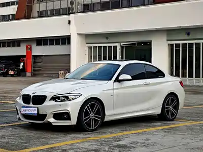 BMW 2 Series