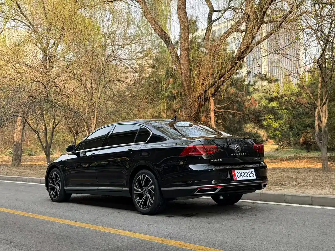Volkswagen Magotan 2021 330TSI DSG 30th Anniversary Edition фото 5