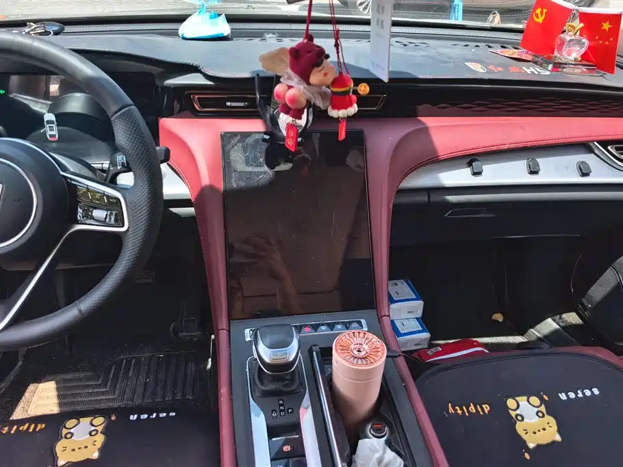 Hongqi H5 2024 2.0T Automatic Smart Connect Flag Smooth Edition фото 13