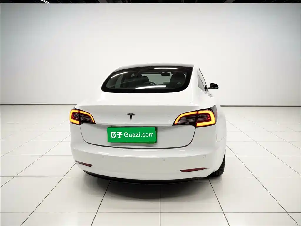 TESLA MODEL 3 (IMPORTED)