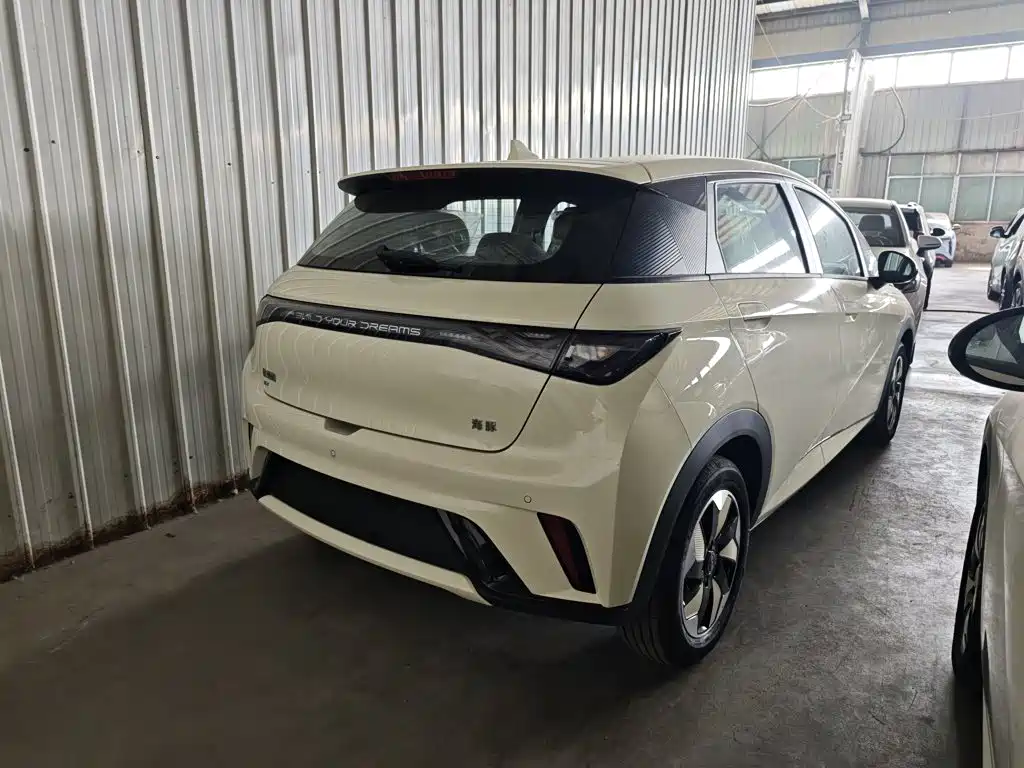 BYD Dolphin 2026 2025 420km Freedom Edition