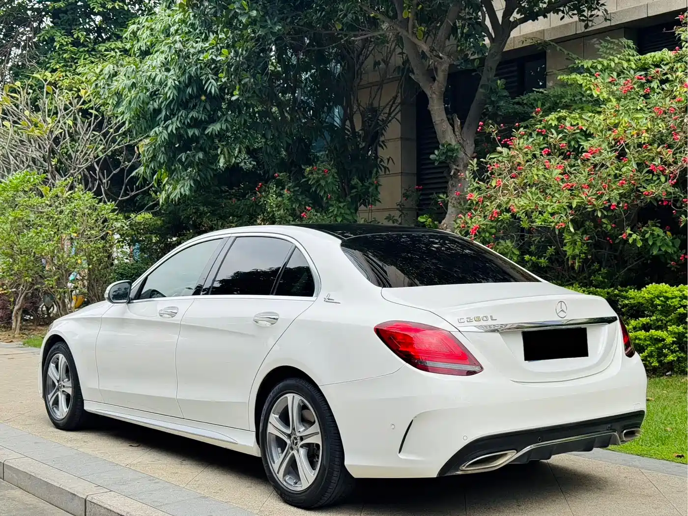 Mercedes-Benz C-Class 2019 C 260 L Sport фото 6