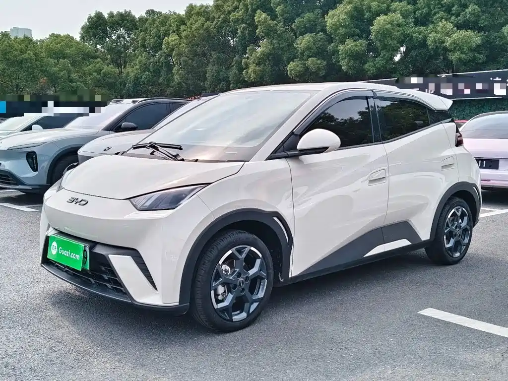 BYD Seagull 2024 Glory Edition 405km Soaring Edition