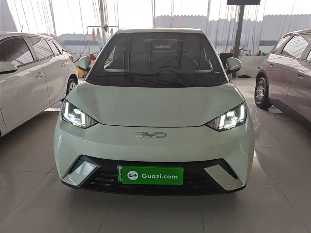 BYD Seagull 2024 Glory Edition 305km Freedom Edition фото 3