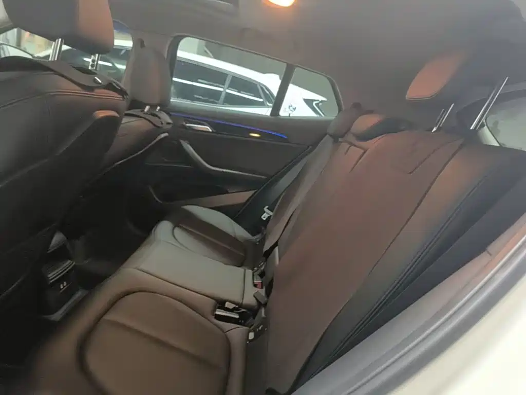 BMW X2 (Import) 2019 2019 sDrive20i M Off-Road Package China VI