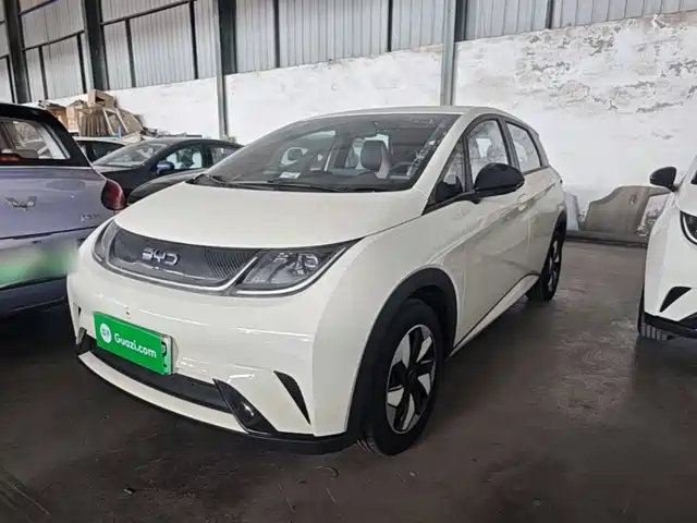 BYD Dolphin 420km, Свобода