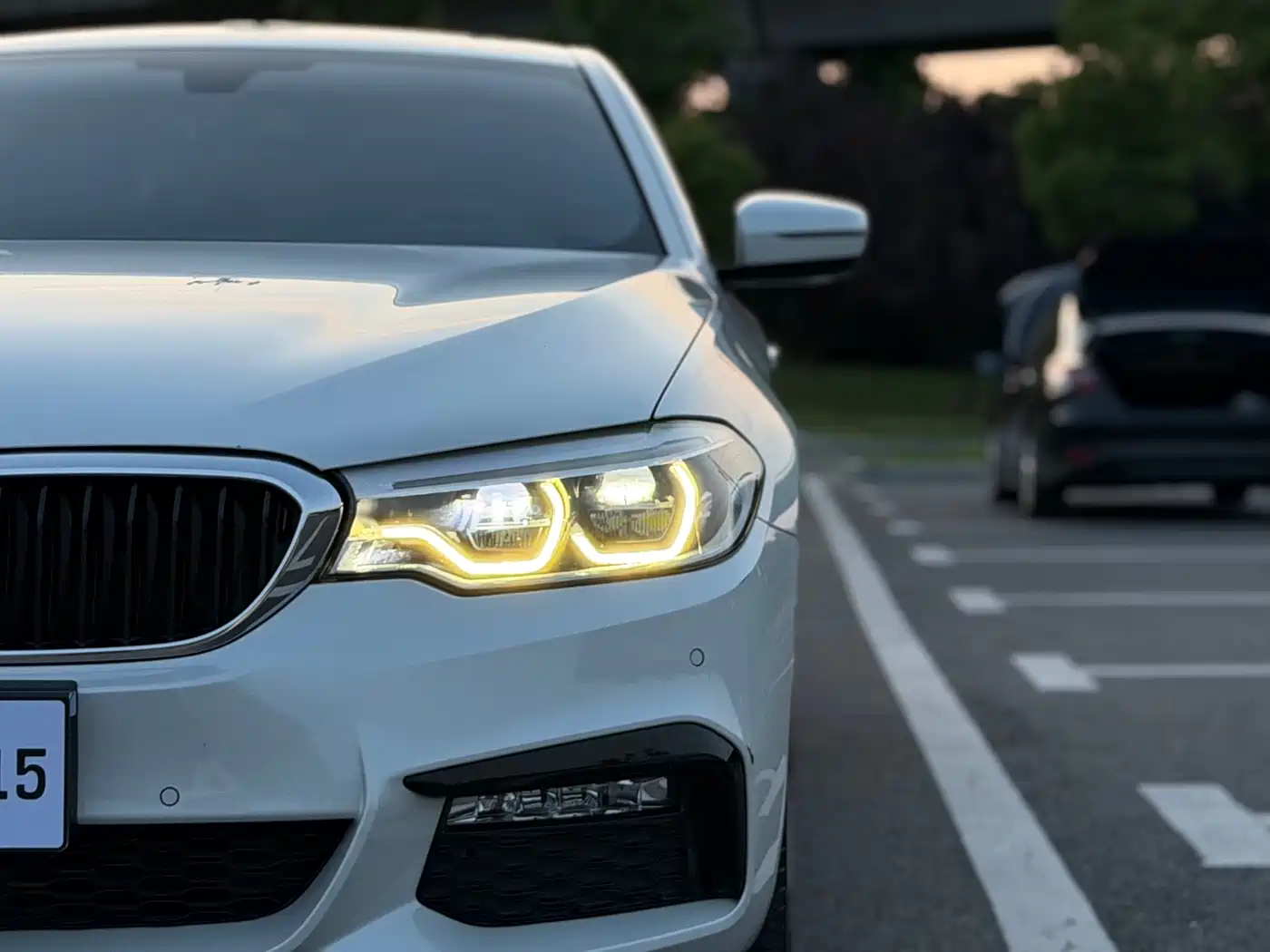 BMW 5 Series 2018 530Li Premium M Sport Package фото 30