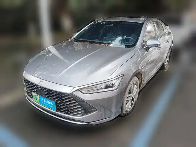  BYD Qin PLUS 2021 DM-i 120KM Flagship