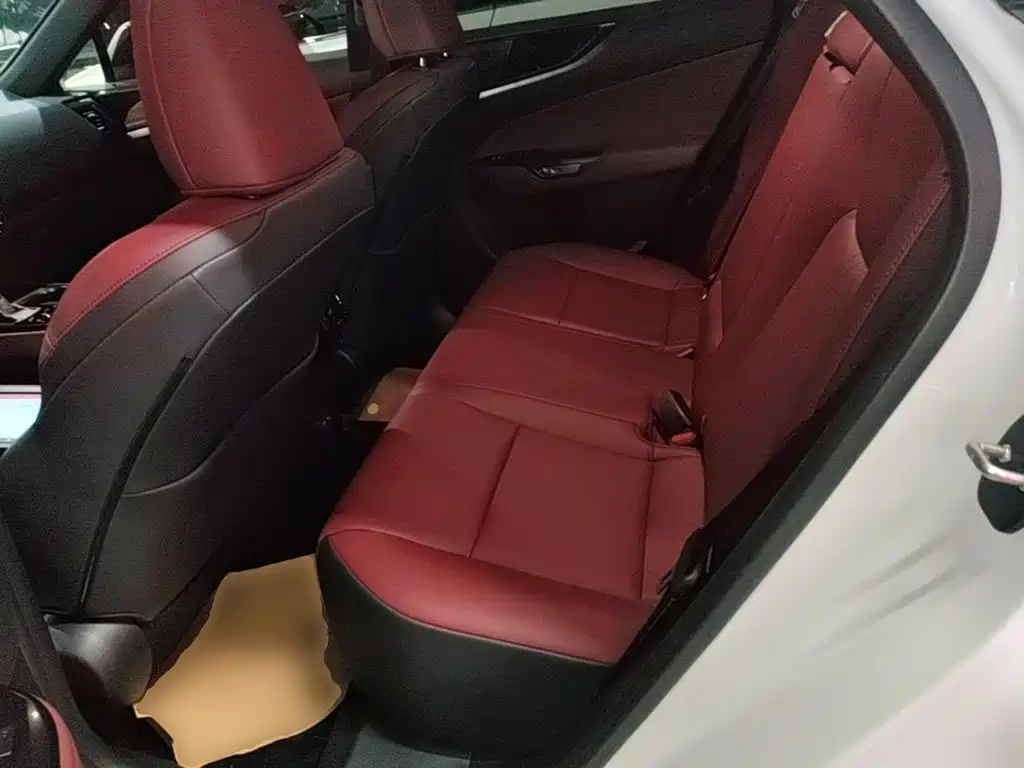 Фото 17 - Lexus NX