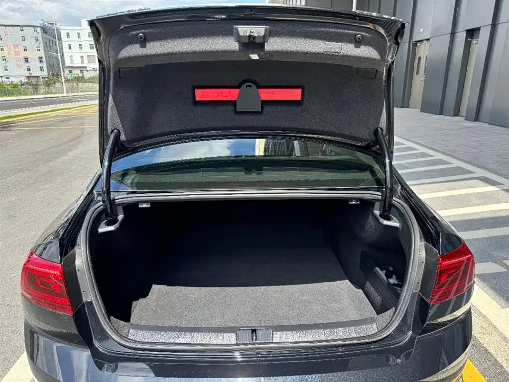Volkswagen Magotan 2020 330TSI DSG Leading фото 12