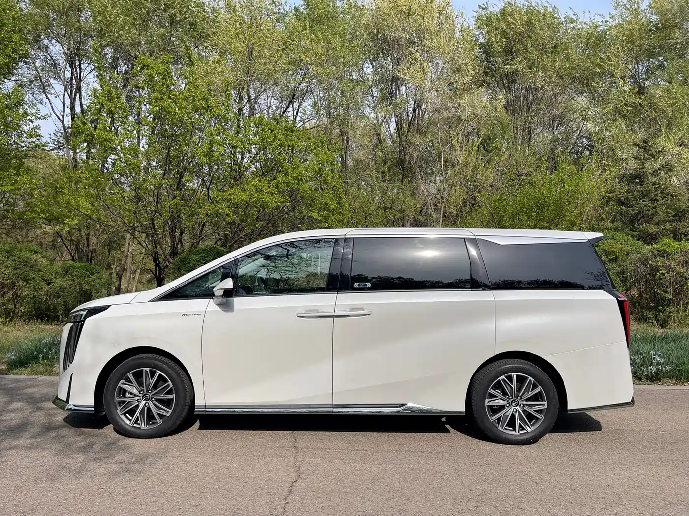 Photo 10 - GAC Trumpchi Trumpchi M8