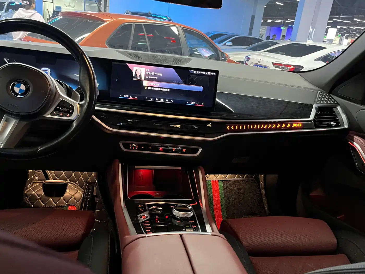 BMW X6