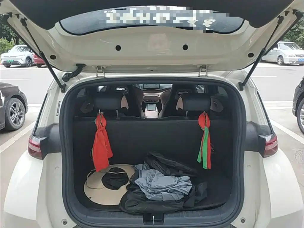 BYD Seagull 2024 Glory Edition 305km Vitality Edition фото 19