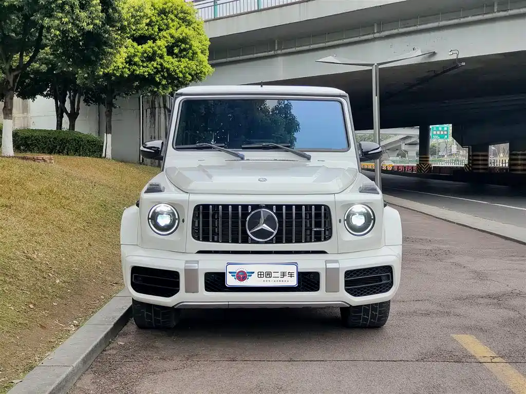 Mercedes-Benz G-Class 2017 Model G 350 d фото 2
