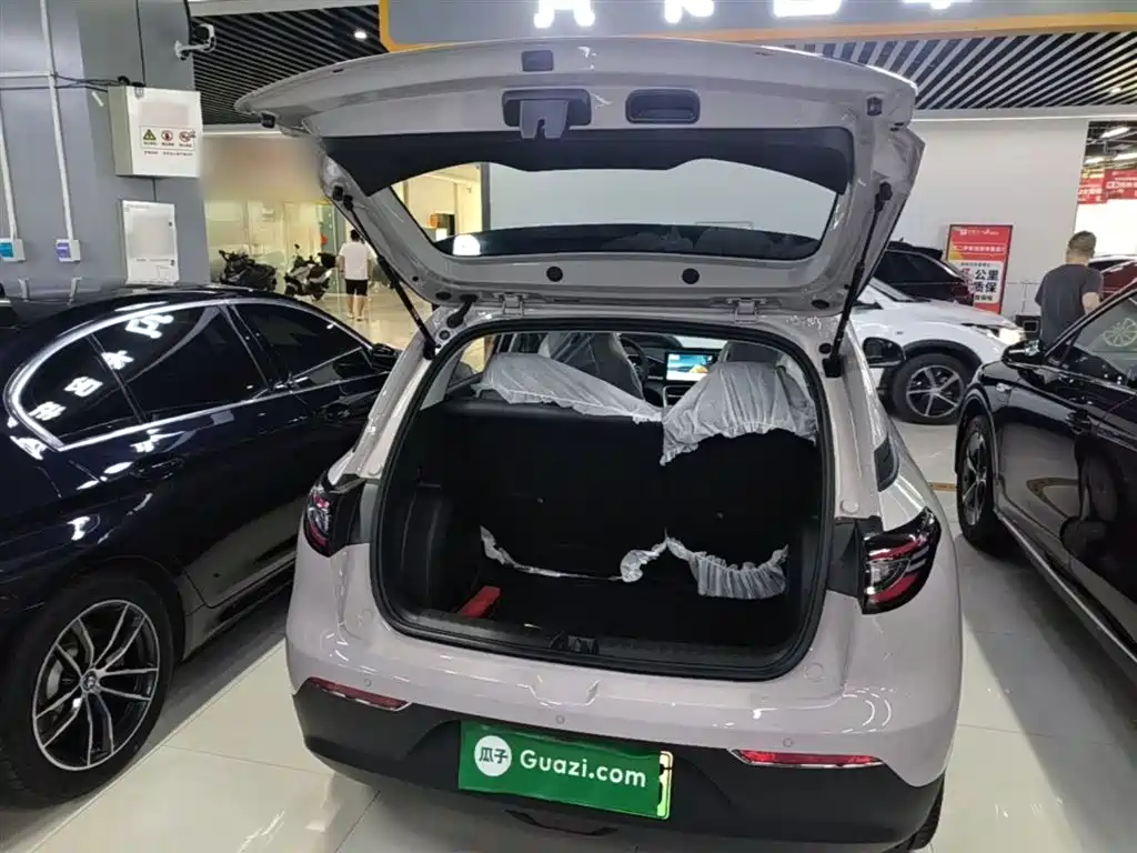 Geely Galaxy Starry Wish 2026 Edition 310km Youth Version фото 19