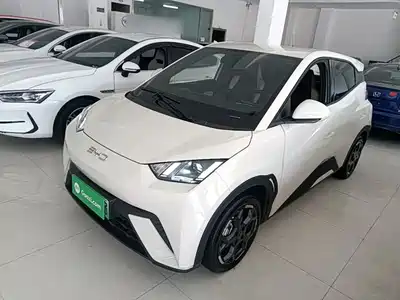 BYD Seagull