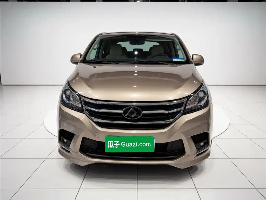 SAIC Maxus Maxus G10 2016 2.0T Automatic Elite фото 24