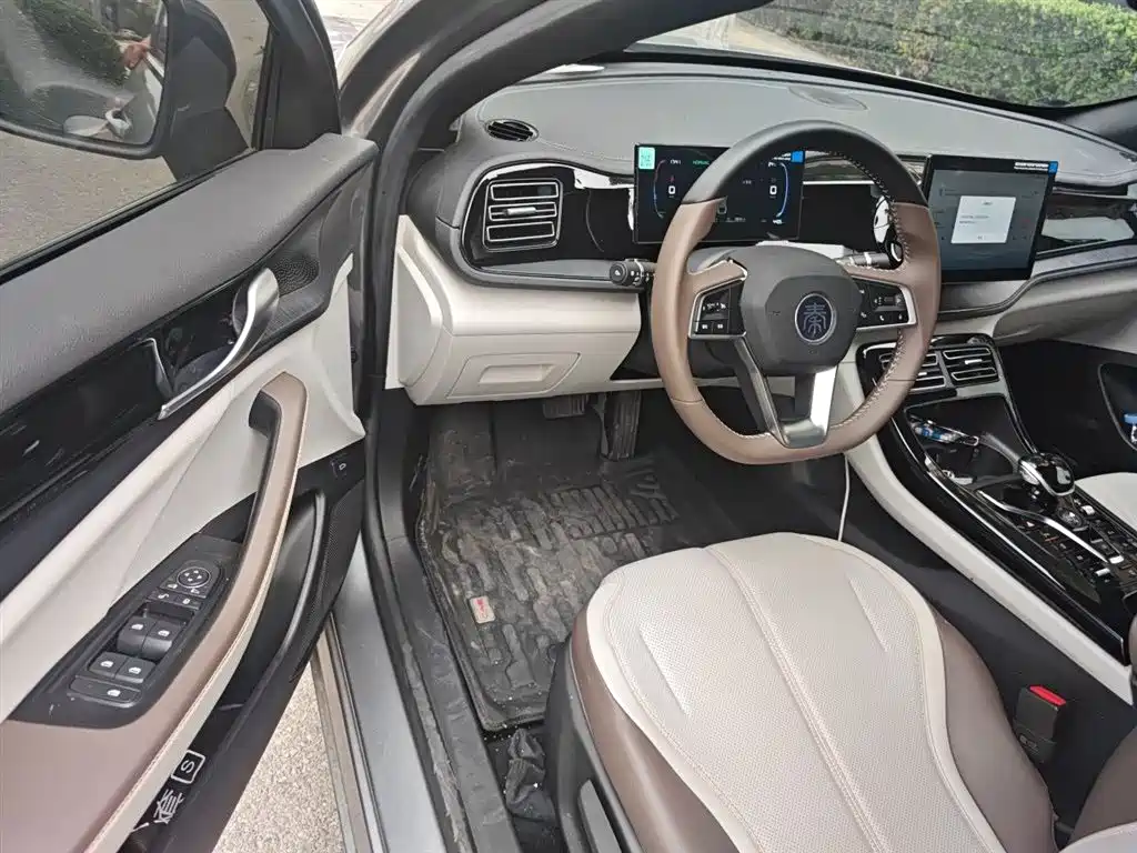 BYD Qin PLUS 2024 Glory Edition DM-i 55KM Leading фото 14