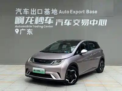 BYD Dolphin