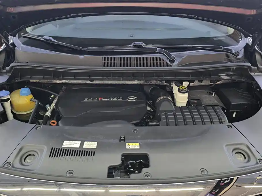 GAC Trumpchi Trumpchi M8 2021 Leading Show Series 390T Prestige Edition фото 10