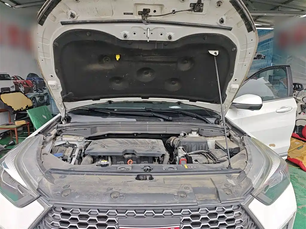 Haval H6 Coupe 2018 Red Label 1.5T Auto 2WD Ultra Luxury фото 20
