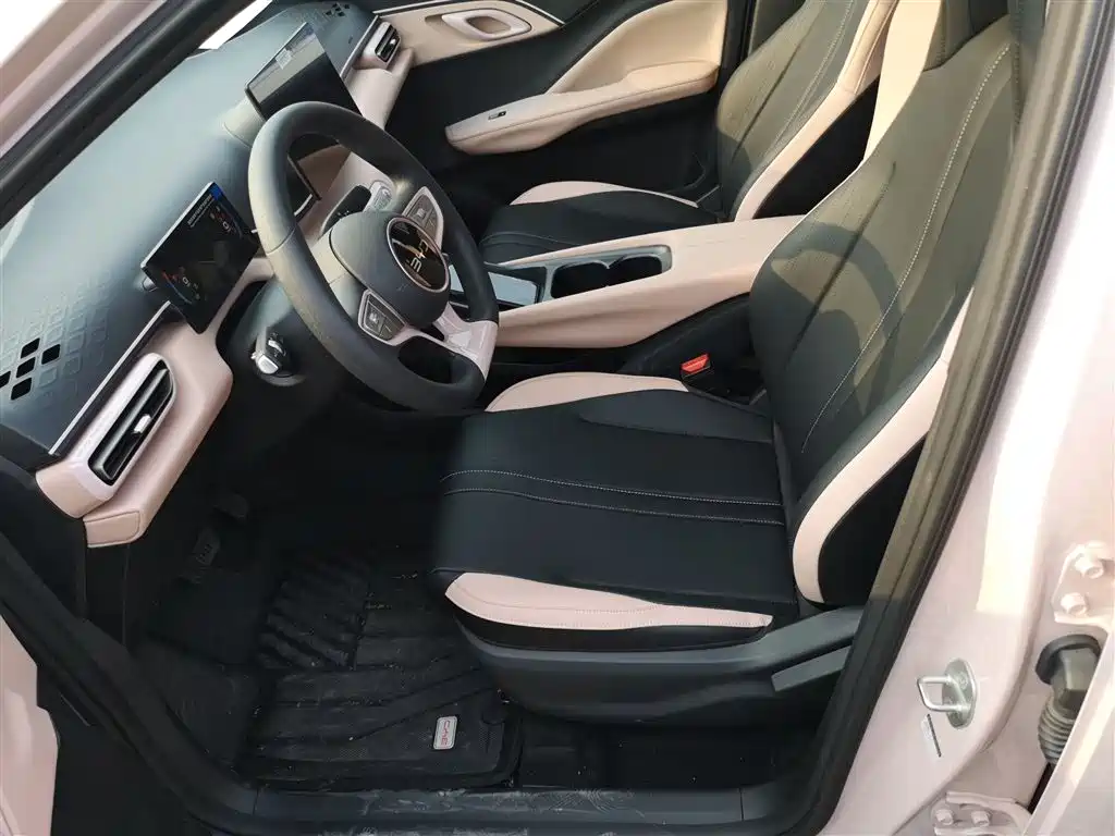 BYD Seagull 2025 Smart Drive Edition 305km Vitality Version фото 15