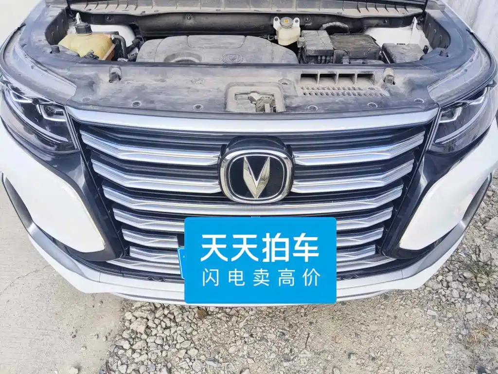 Changan CS95 2021 2019 2.0T 2WD Luxury