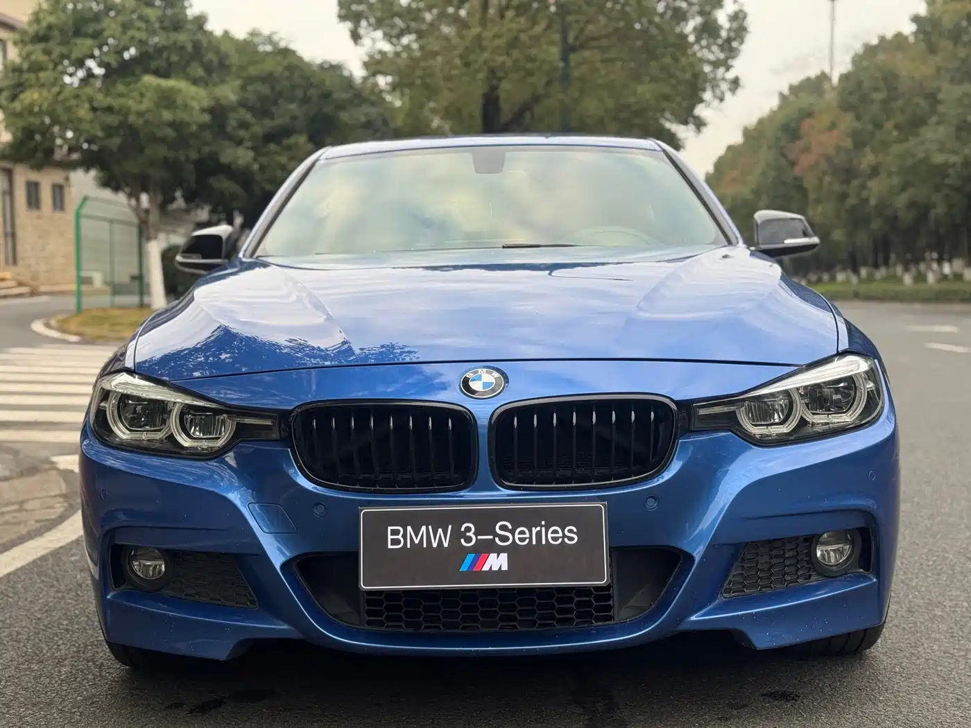 BMW 3 Series 2019 320Li M Sport Black Night Edition фото 2