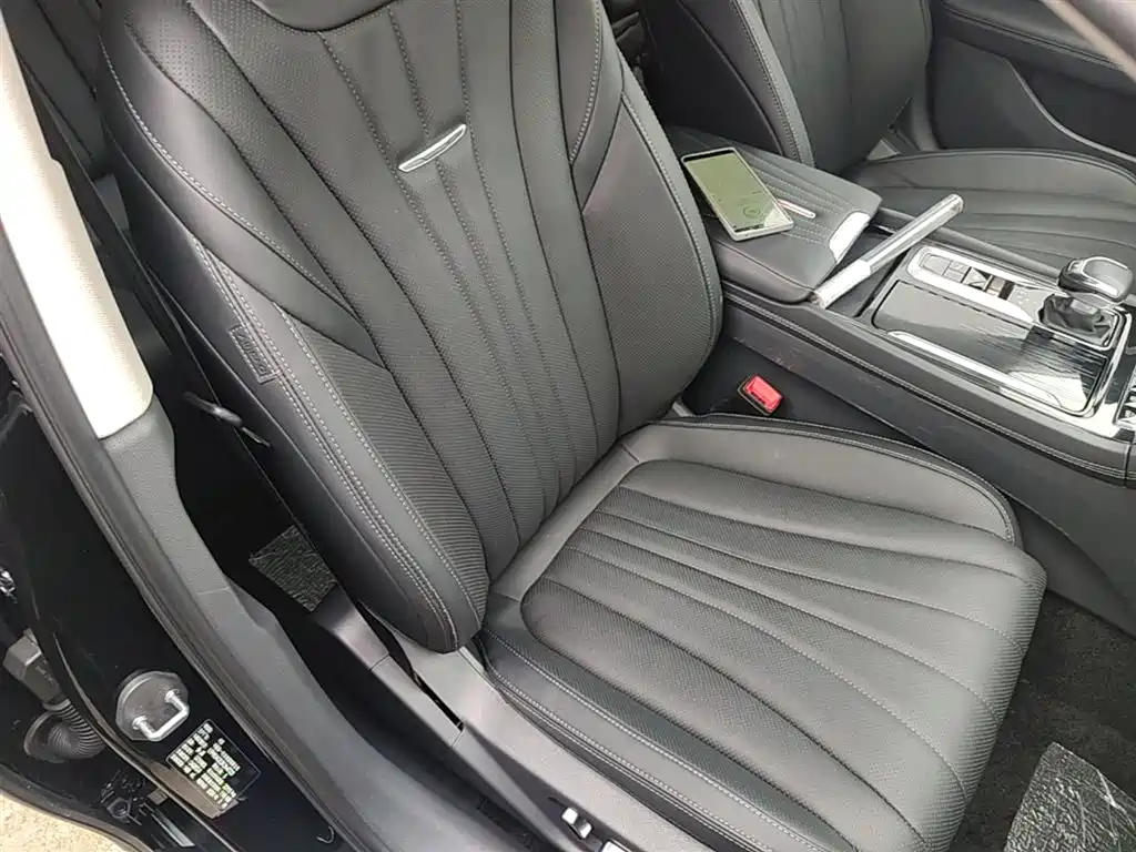 Hongqi H5 2024 1.5T DCT Smart Connect Flag Rhythm Edition фото 25