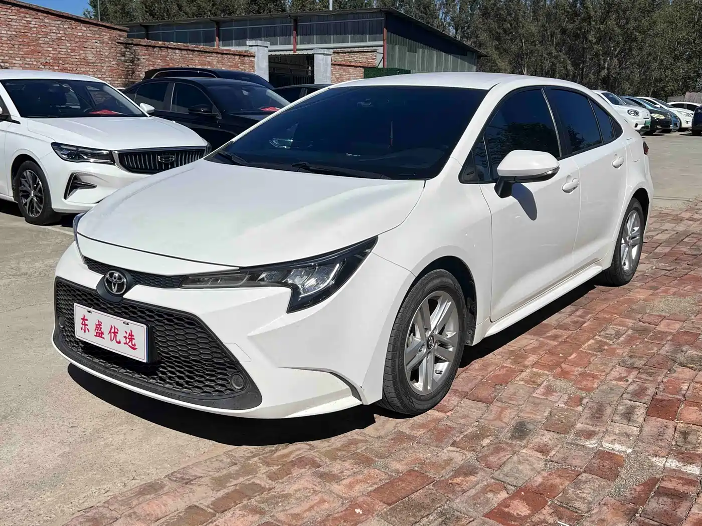 Toyota Levin