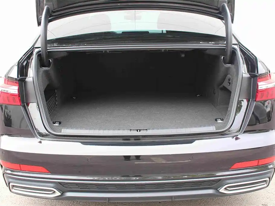 Audi A6L New Energy 2020 2020 55 TFSI e quattro