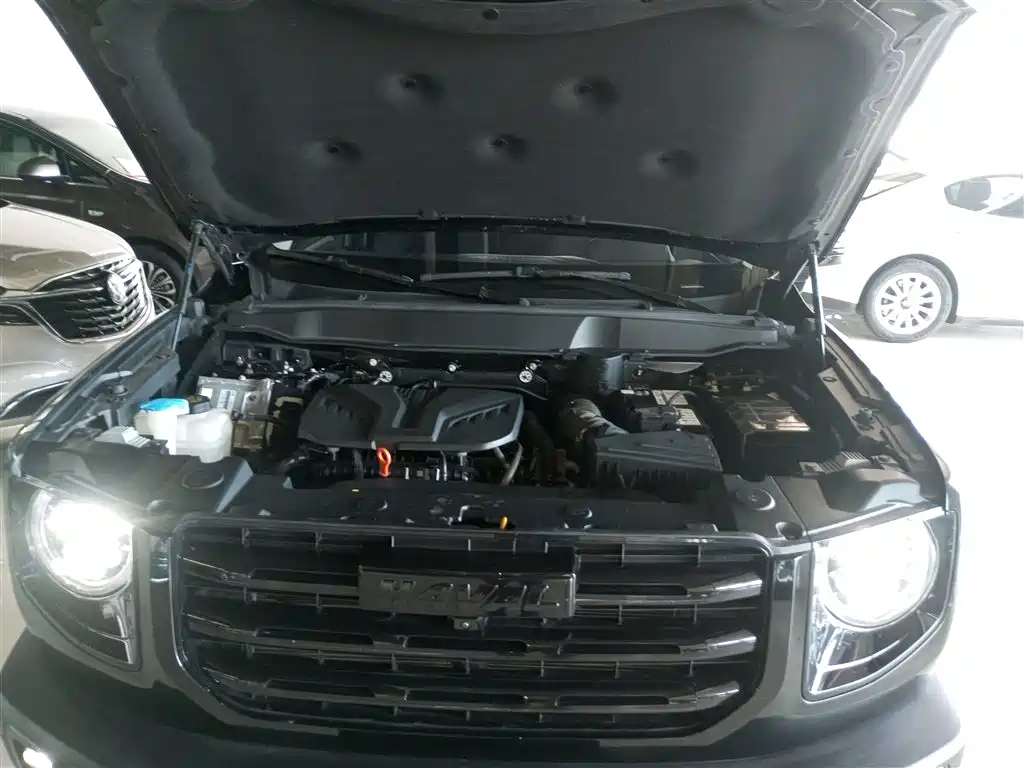 Haval Big Dog 2022 2.0T DCT FWD Chinese Hound Edition фото 10