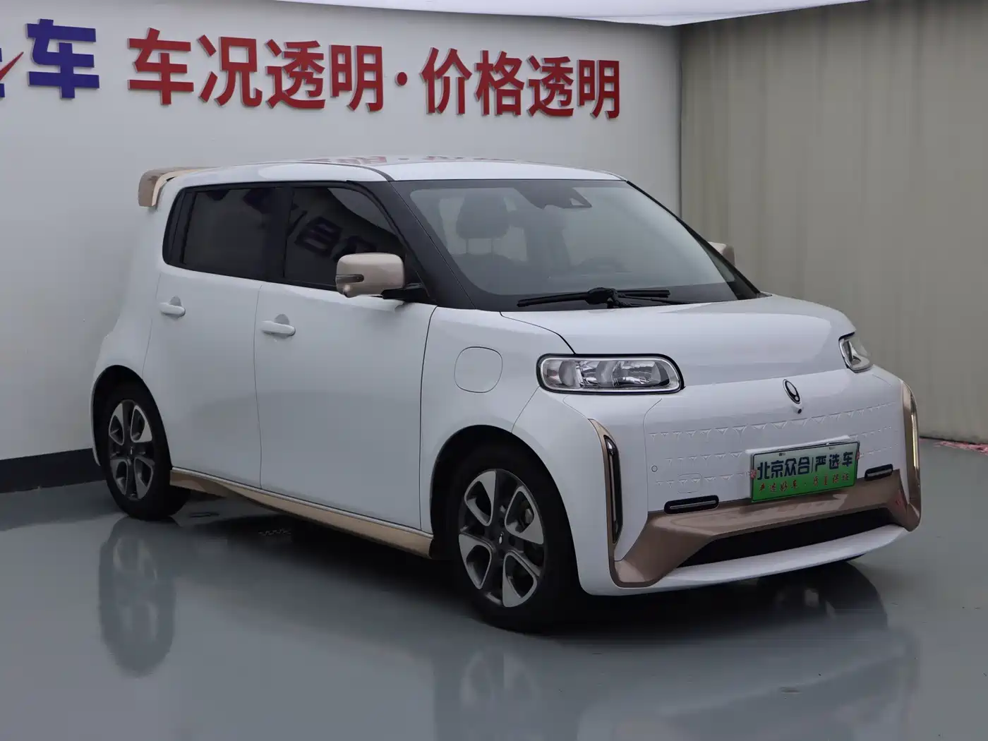 Ora White Cat 2022 2022 Wildcat Edition 401km Flagship (NMC)
