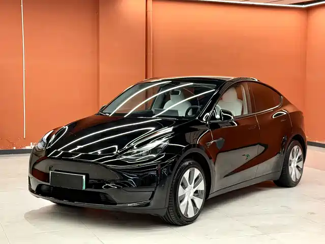 Tesla Model Y 2022 Rear-Wheel Drive Version — фото 1