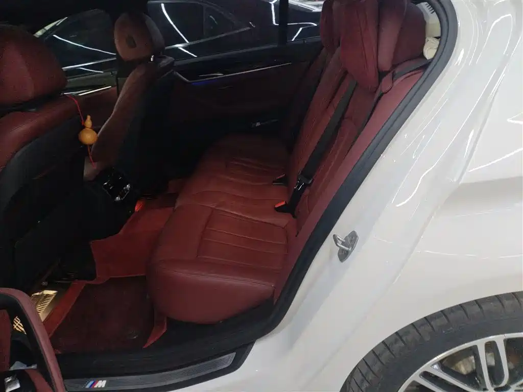 BMW 5 Series 2019 530Li Leading M Sport Package фото 17