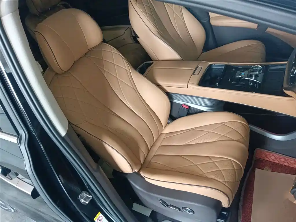Denza D9 2024 DM-i 980 AWD Prestige фото 20