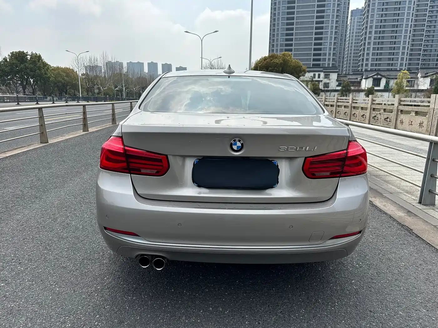 BMW 3 Series 2017 320Li Fashion фото 10