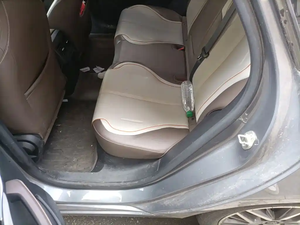 BYD Qin PLUS 2024 Glory Edition DM-i 120KM Leading фото 18