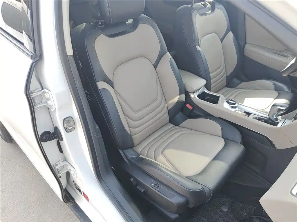 DS 6 2018 2016 1.6T Luxury THP160