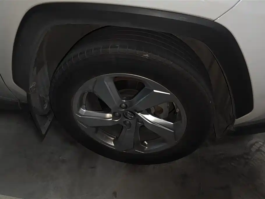 Toyota RAV4 Rongfang 2020 2.0L CVT AWD Trend Edition фото 6