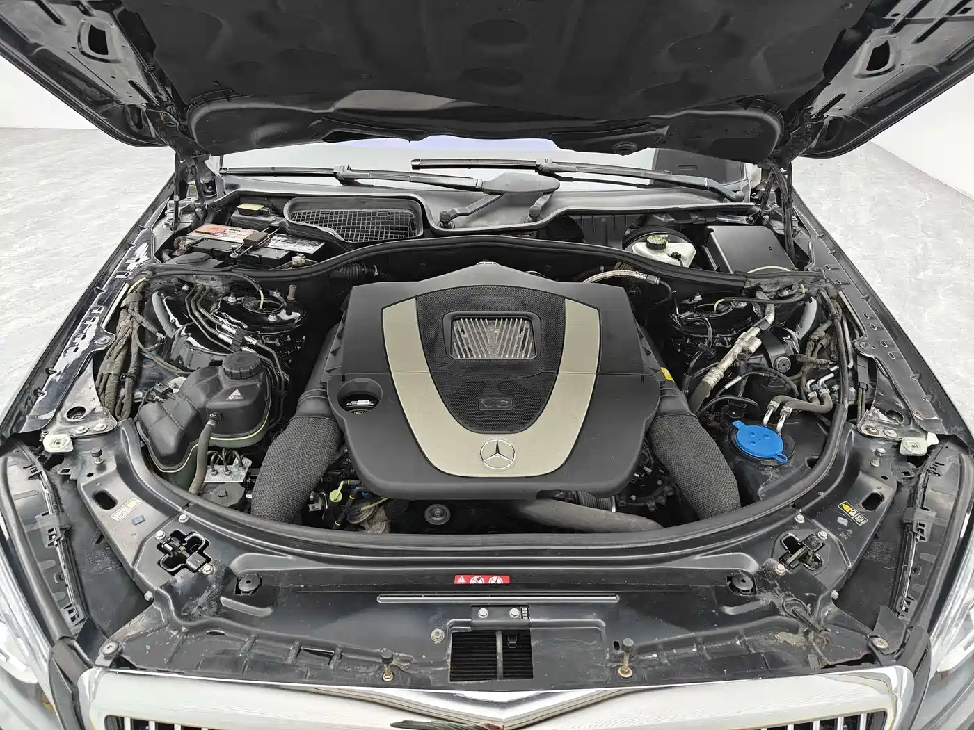 Mercedes-Benz S-Class 2010 S 300 L Luxury фото 18
